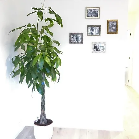 Historic City Centre - Vrijdagmarkt 18 C1 Appartement *